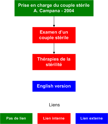 Management