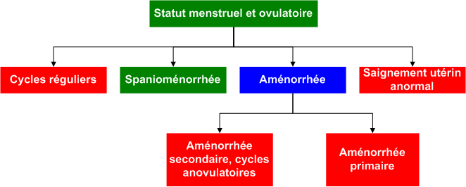 Menstrual_ovulatory_status