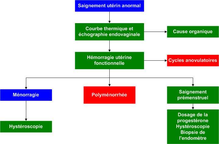 Abnormal_uterine_bleeding
