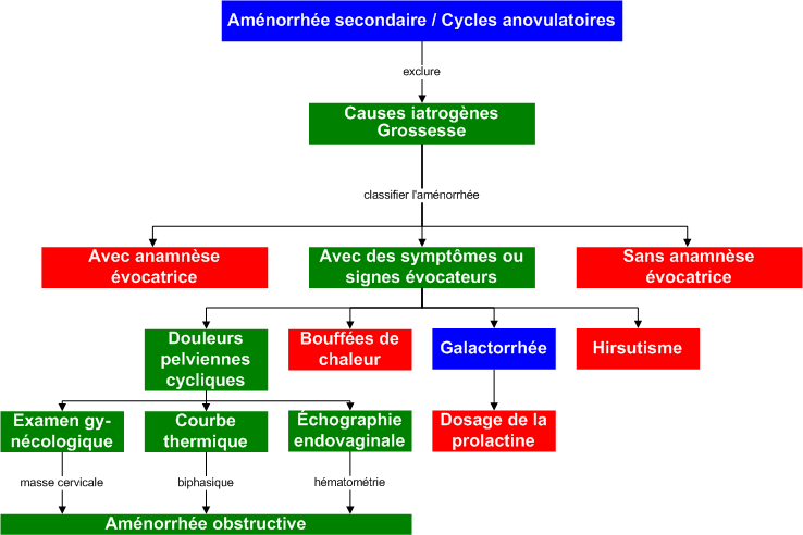 Secondary_amenorrhea