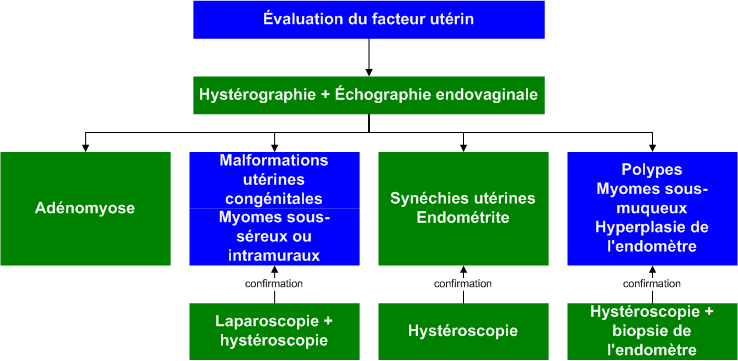 Uterine_factor