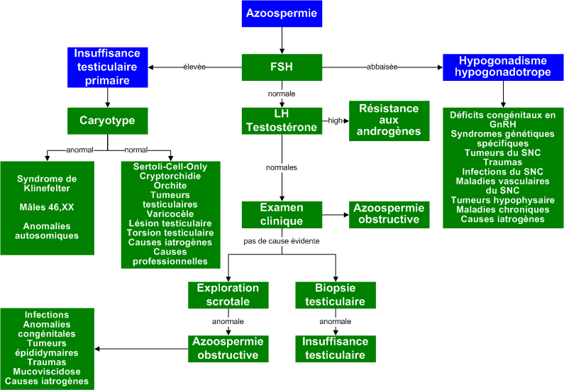 Azoospermia
