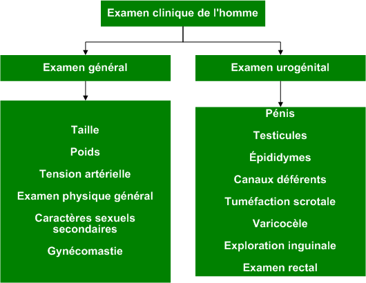 Physical_exam_male