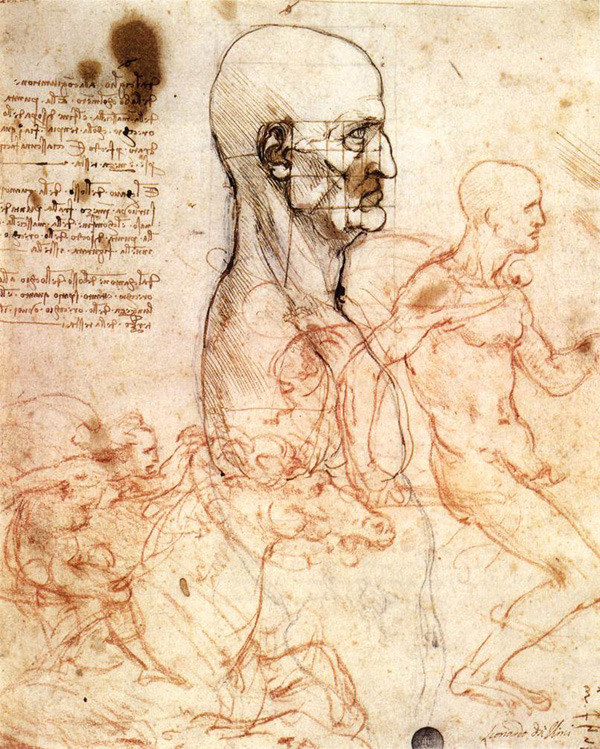 Leonardo da Vinci - Anatomical drawings - Head