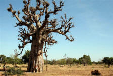 Province du Yatenga (nord du Burkina Faso)