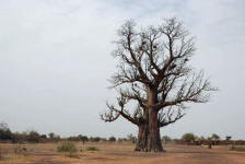 Province du Yatenga (nord du Burkina Faso)