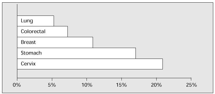 wpeC3.jpg (18265 bytes)