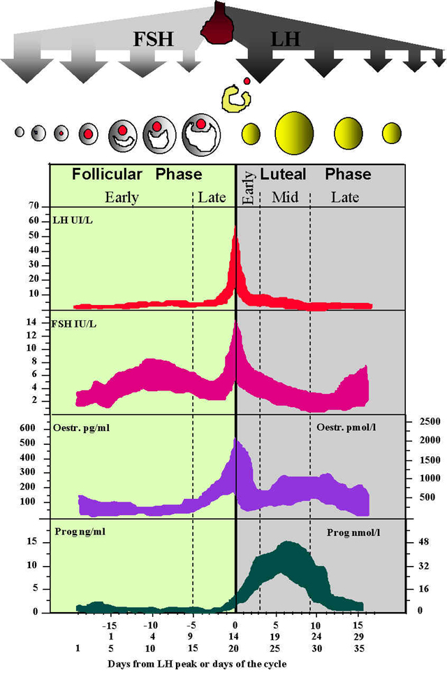 wpe10.jpg (100930 octets)