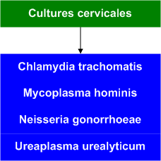 Cervical_cultures