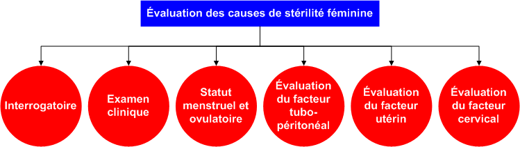 Evaluation_female_causes