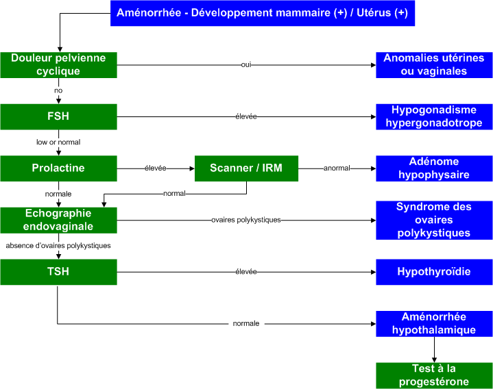 Amenorrhea_Breast+_Uterus+