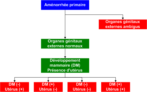 Primary_amenorrhea