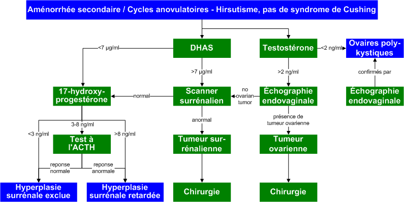 Hirsutism_no_Cushing