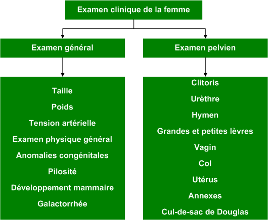 Physical_exam_female