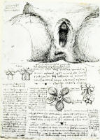 Leonardo da Vinci - Female genital organs
