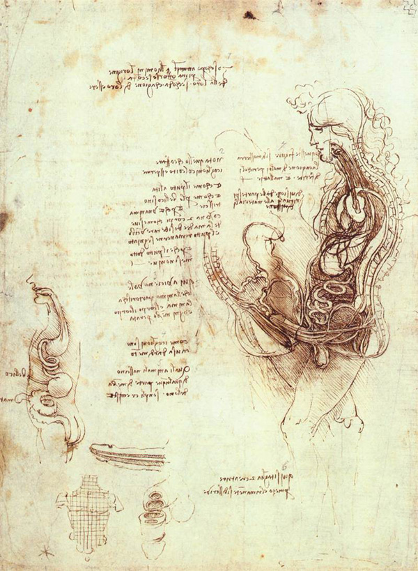 Leonardo da Vinci - Anatomical drawings - Copulation