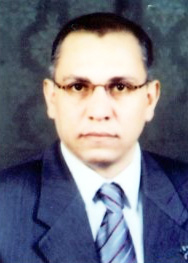 Tarek Tawfik Amin