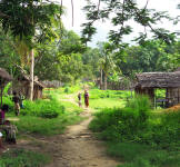 Country activities - Madagascar