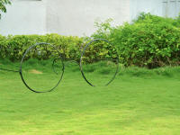 ECD in India