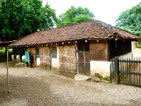ECD in India