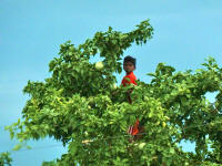 ECD in India