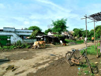 ECD in India