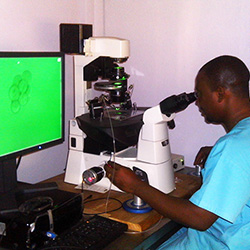 Assisted hatching in Lagos, Nigeria - Paul Faduola