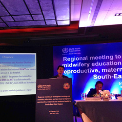 Regional meeting to strengthen nursing and midwifery education and services to improve reproductive, maternal and newborn health in South East Asia Region, New Delhi, India - Pema Lethro
