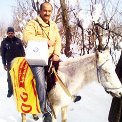 Pulse polio immunization in the outskirts of Shopian, Kashmir Province, India - Syed Manzoor Kadri