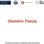 Obstetric Fistula Course